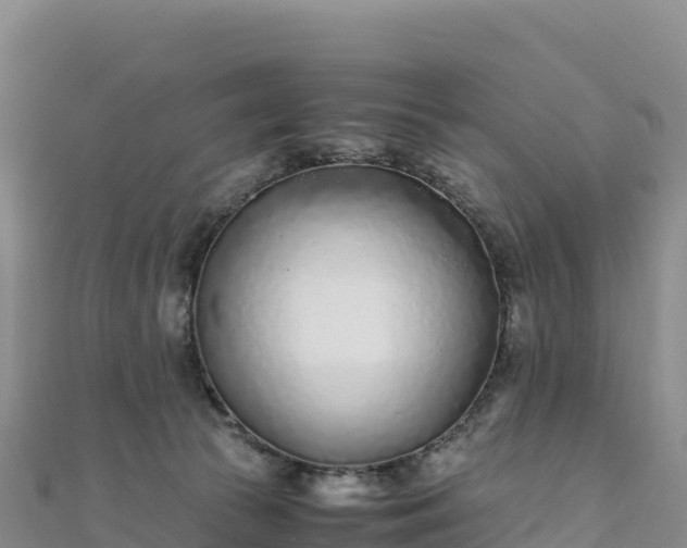 X0000110730177200906191533