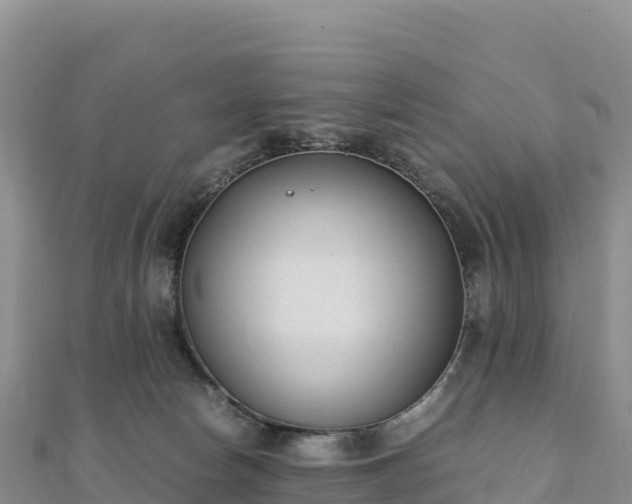 X0000110730178200906191533