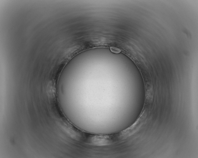 X0000110730179200906191533