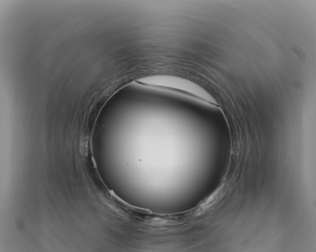 X0000110730180200906191533