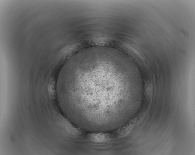 X0000110730181200906191533