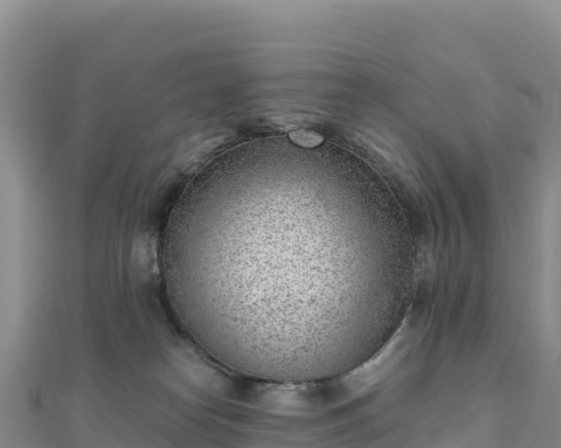 X0000110730182200906191533