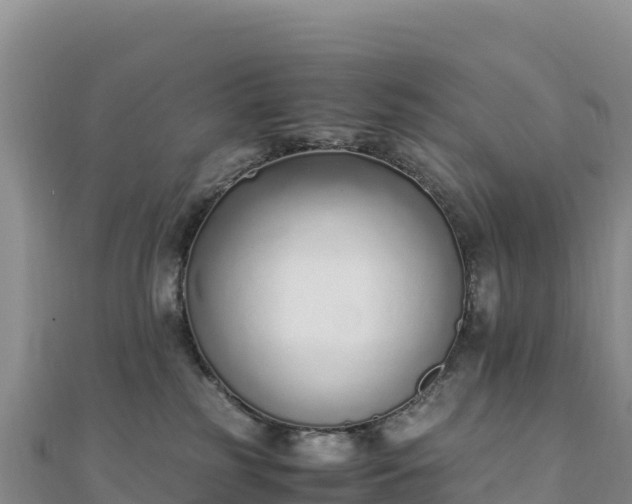 X0000110730185200906191533