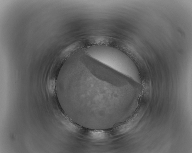 X0000110730189200906191533