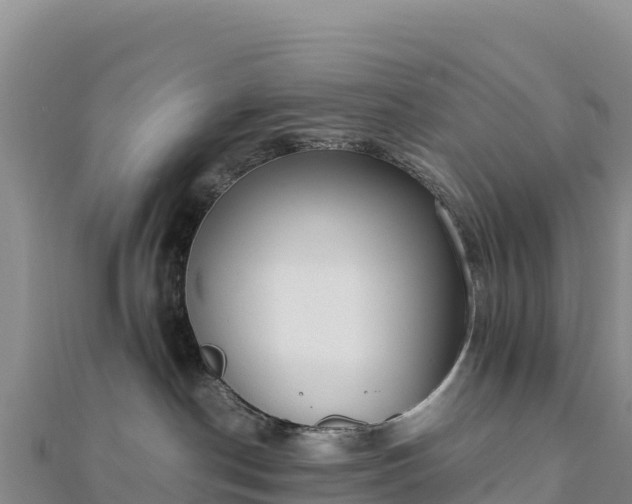 X0000110730190200906191533