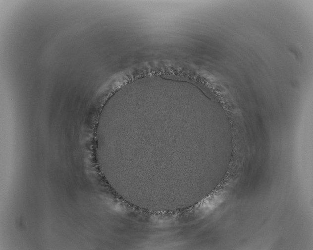 X0000110730192200906191533