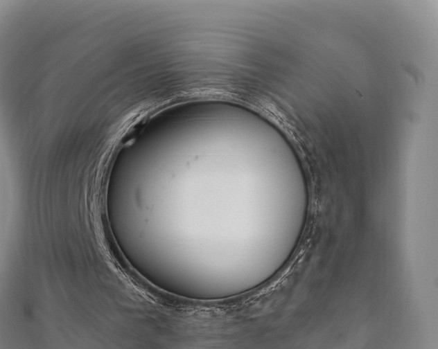 X0000110730193200906191533