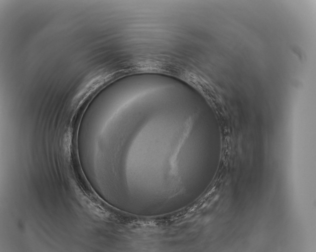 X0000110730194200906191533