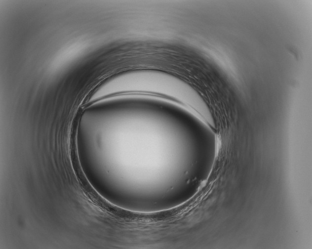 X0000110730195200906191533