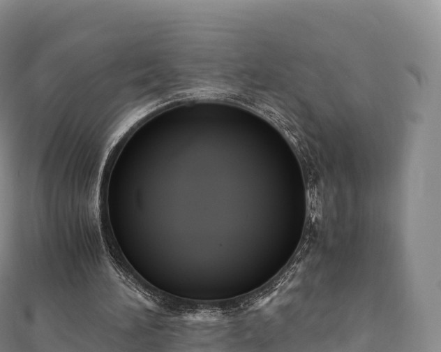 X0000110730196200906191533