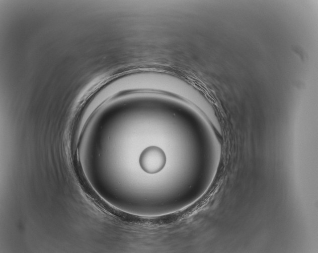 X0000110730197200906191533