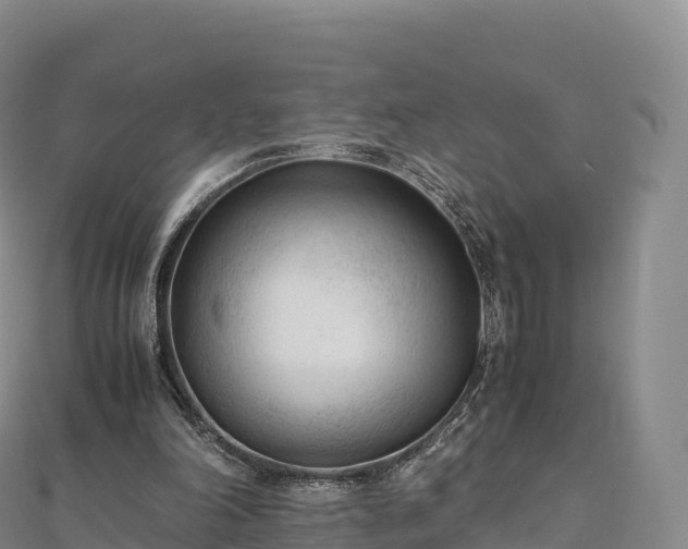 X0000110730198200906191533