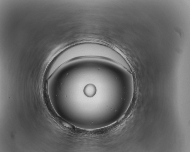 X0000110730199200906191533