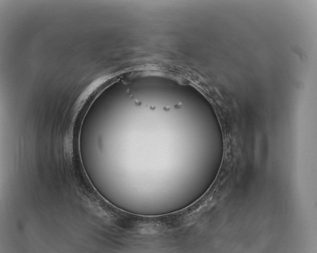 X0000110730200200906191533