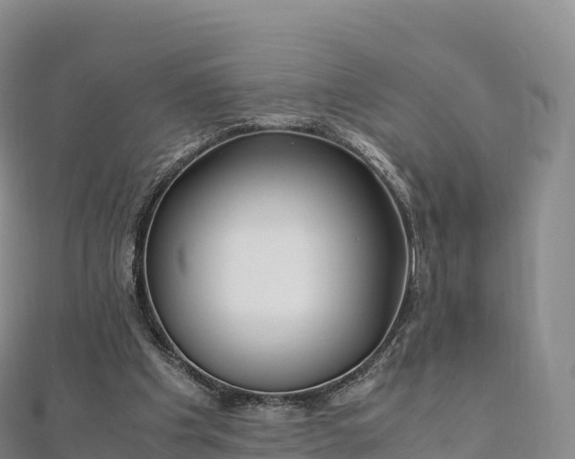 X0000110730201200906191533