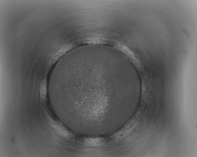 X0000110730202200906191533