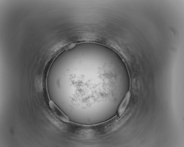 X0000110730203200906191533