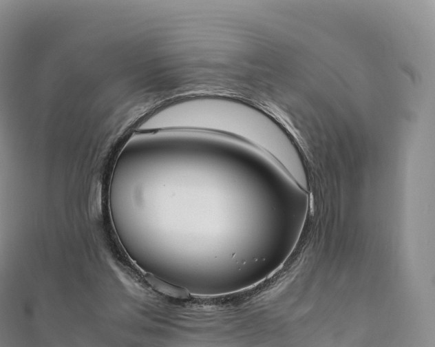 X0000110730205200906191532