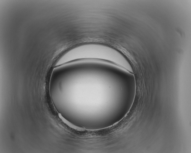 X0000110730207200906191532