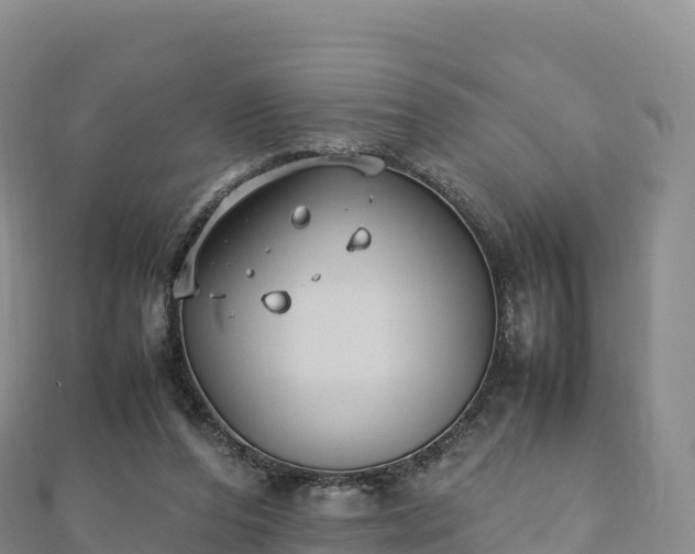 X0000110730208200906191532