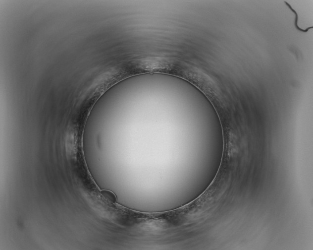 X0000110730210200906191532