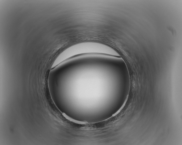 X0000110730211200906191532