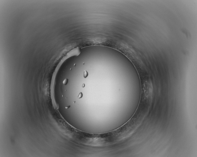 X0000110730212200906191532