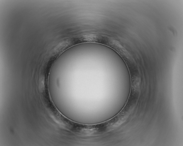 X0000110730213200906191532