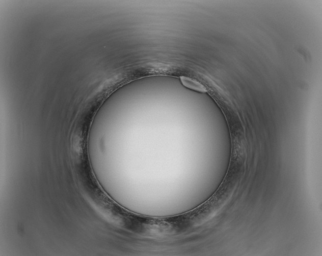 X0000110730215200906191532