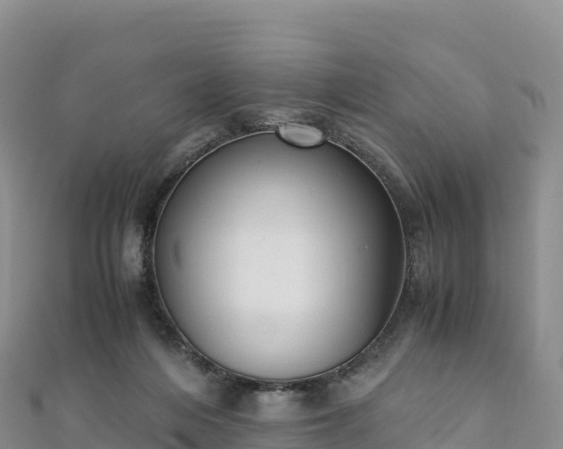 X0000110730216200906191532