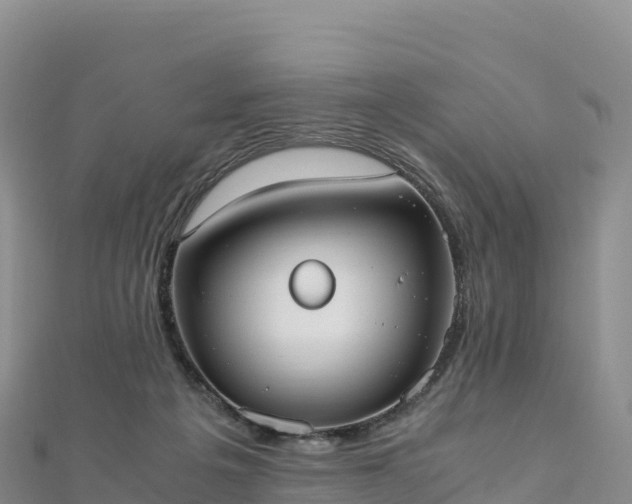 X0000110730217200906191532