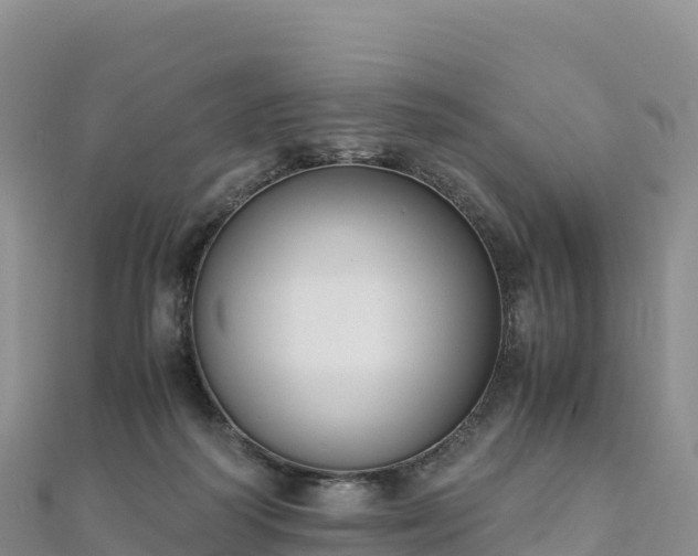 X0000110730218200906191532