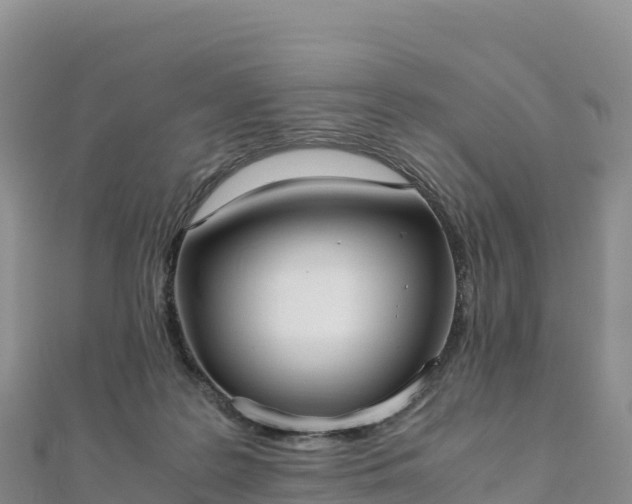 X0000110730219200906191532