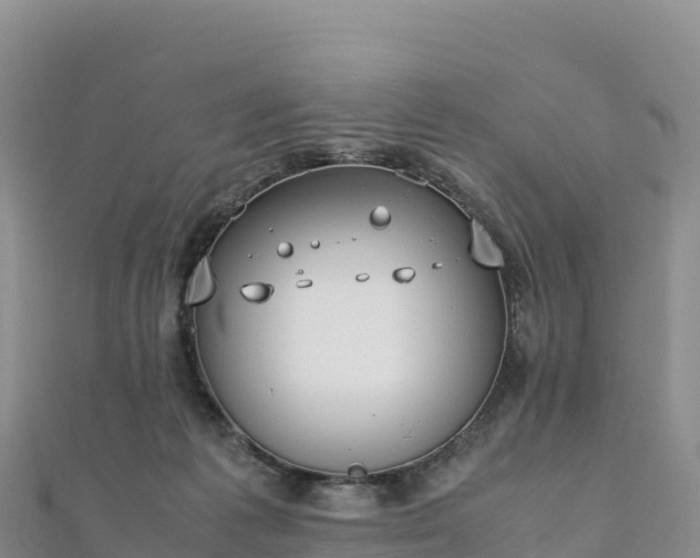 X0000110730221200906191532