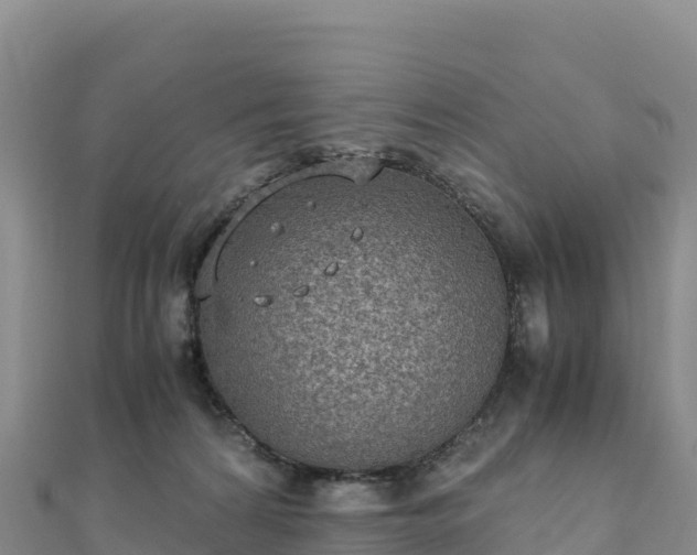 X0000110730224200906191532