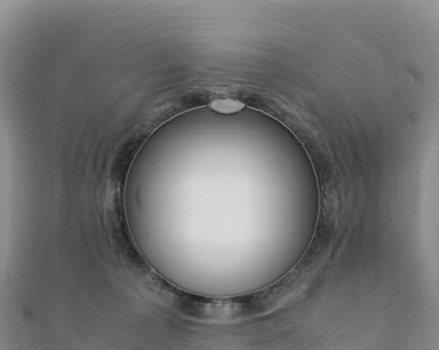 X0000110730225200906191532