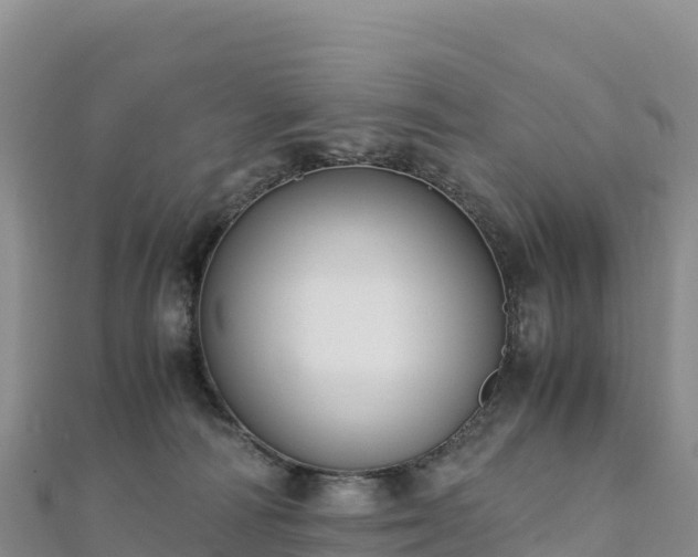 X0000110730226200906191532