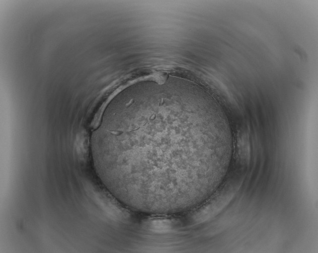 X0000110730228200906191532