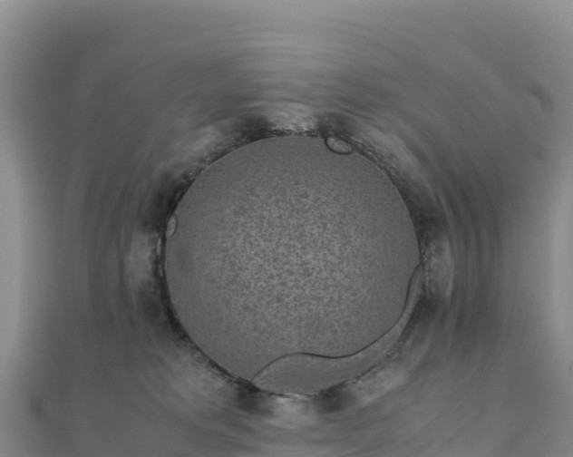 X0000110730229200906191532