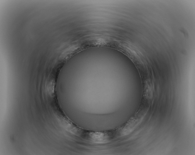 X0000110730230200906191532