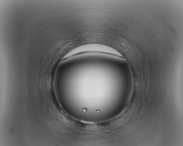 X0000110730231200906191532