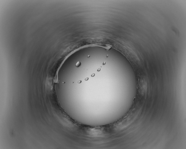 X0000110730232200906191532