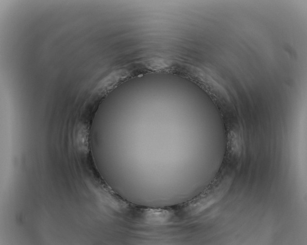 X0000110730234200906191532