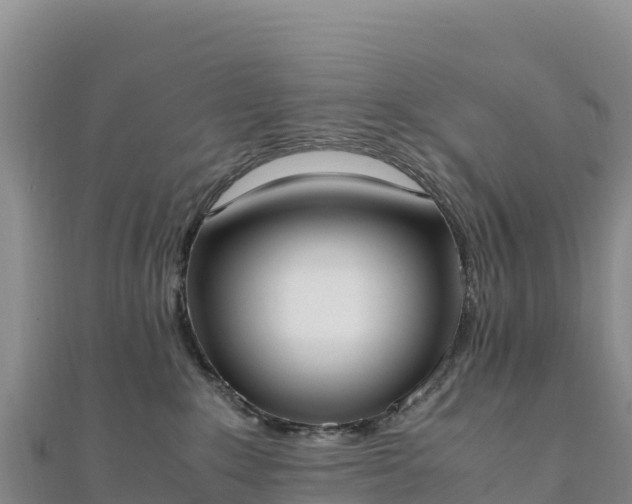 X0000110730235200906191532