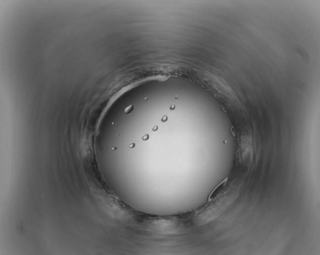 X0000110730236200906191532