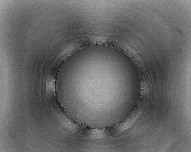 X0000110730238200906191532