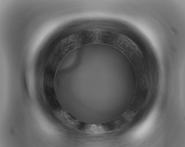 X0000110730239200906191532