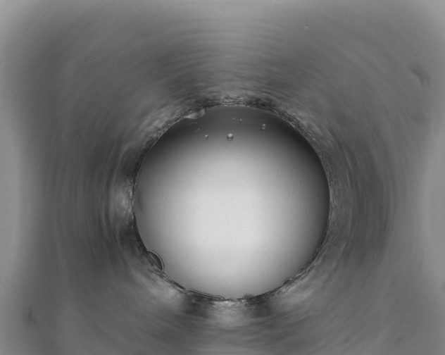 X0000110730240200906191532