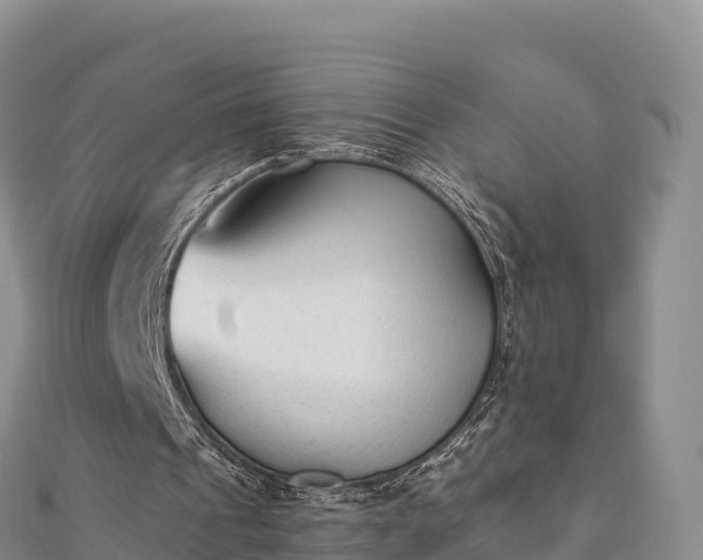 X0000110730241200906191531