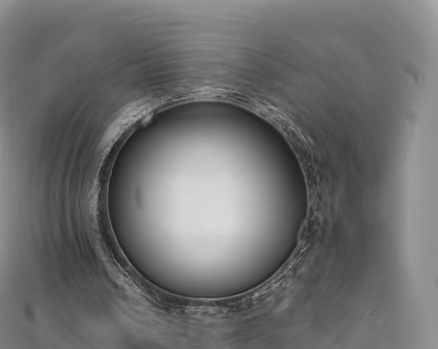 X0000110730242200906191531